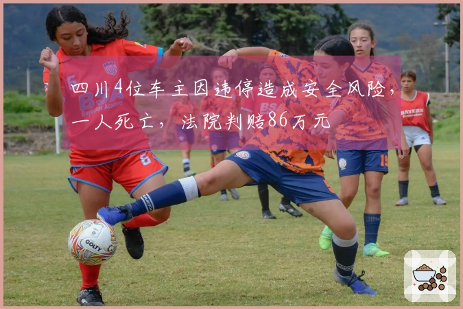 四川4位车主因违停造成安全风险，一人死亡，法院判赔86万元